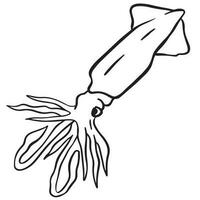 Squid outline art ,good for graphic design resources, posters, banners, templates, prints, coloring books and more. vector