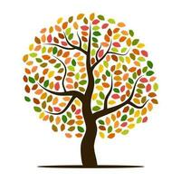 Autumn tree with yellow, orange, brown and green leaves. Vector illustration