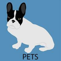 mascota perro icono plano estilo vector