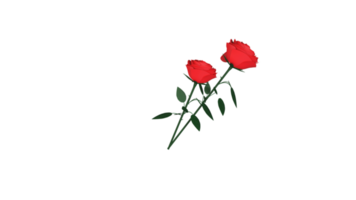 realistisch roos bloemen element. 3d weergave. png