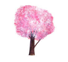 watercolor painting pink tree cherry blossom or sakura abstract hand drawn png. png