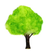 watercolor painting tree png. png