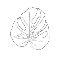 Hoja de planta de monstera deliciosa de bosques tropicales aislada. vector para tarjetas de felicitación, volantes, invitaciones, diseño web