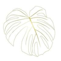 Monstera Deliciosa plant leaf from tropical forests isolated. Vector for greeting cards, flyers, invitations, web design