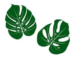 Monstera Deliciosa plant leaf from tropical forests isolated. Vector for greeting cards, flyers, invitations, web design