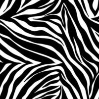 Vector animal print. Zebra ornament. Seamless pattern