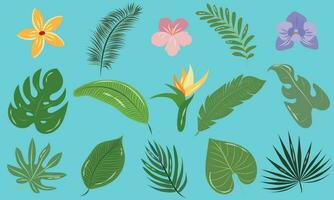 un conjunto de hermosa tropical hojas y flores vector