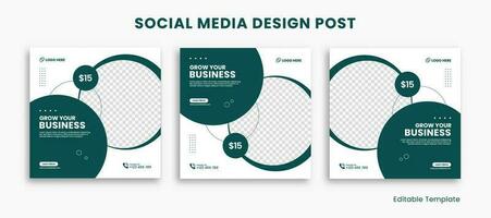 Set of Editable Social Media Design Post Template, With Rounded Rectangle Design Green and White Color. Suitable For Social Media Post, Ads, Promotion Product, Business, School, Health vector