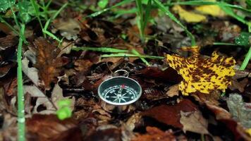 kompas in nationaal Woud park video