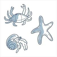 Set of 3 vector illustrations of sea creatures crab, hermit crab, starfish blue line contour with partial filling.