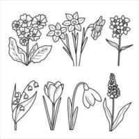 Set of vector isolated line spring flowers . Spring, summer, flowers theme.