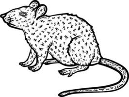 Mouse Animal Coloring Page for Adults vector