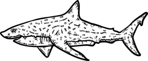 Shark Animal Coloring Page for Adults vector