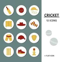 12 Icons Pack Of Cricket Essential Object Over Circle White And Grey Abstract Background. vector