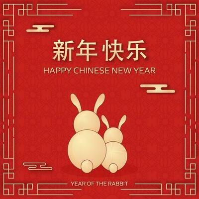 Golden Happy Chinese New Year Mandarin Text With Back View Of Cartoon Bunnies On Red Asia Traditional Pattern Background.