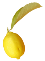 limón transparente png