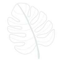 Line art leaf png