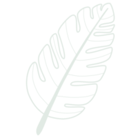 Line art leaf png