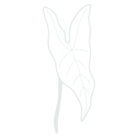 foglia d'arte linea png