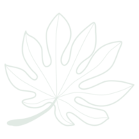 Line art leaf png