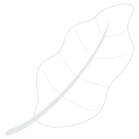 línea Arte hoja png