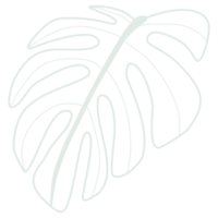 Line art leaf png