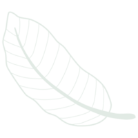 Line art leaf png