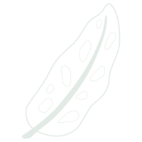 Line art leaf png