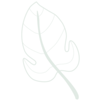Line art leaf png