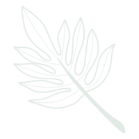 Line art leaf png