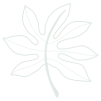 Line art leaf png