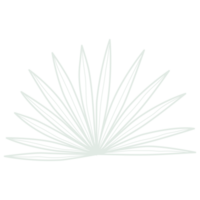 Line art leaf png