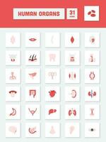 Flat Style Human Organs Square Icon Set. vector