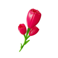 3D Rendering Of Tulip Flowers Element In Pink And Green Color. png