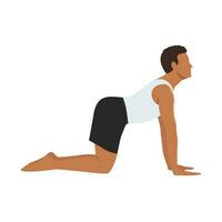 Man doing Cow pose Bitilasana exercise. Flat vector