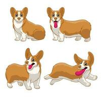 Cartoon Corgi puppy set in various pose vector