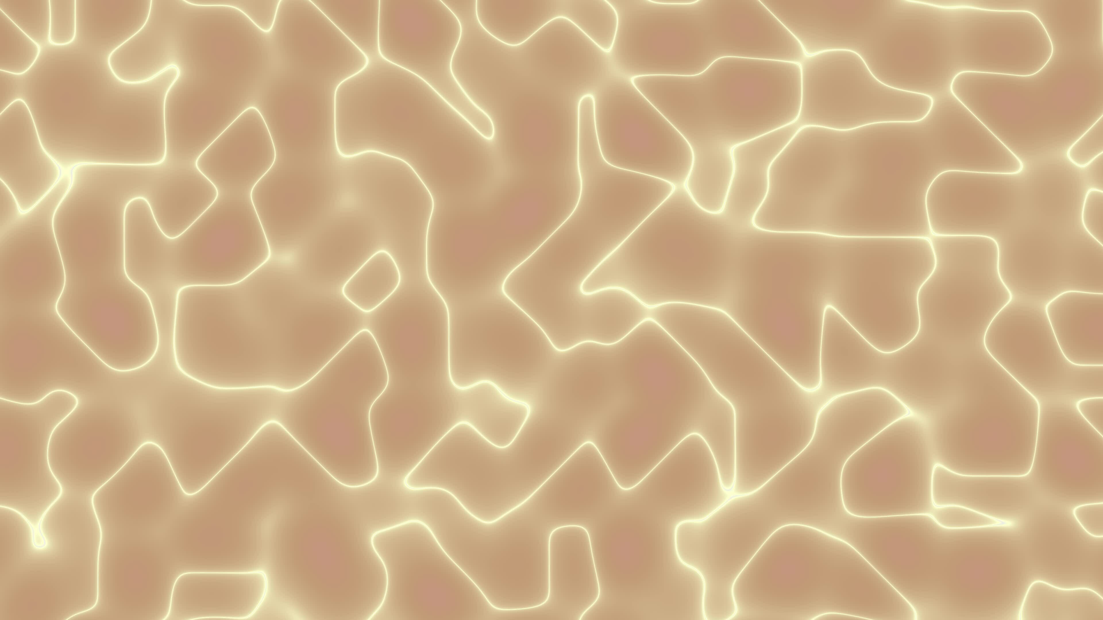 Curve Animation