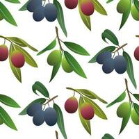 Fresh olives hand drawn background. Wallpaper vector. Colorful seamless pattern with olive branches. vector