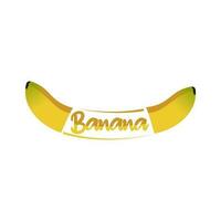 único plátano logo vector. plátano Fruta logotipos vector