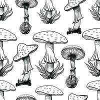 amanita mushroom sketch pattern vector