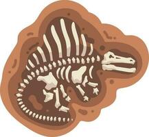 Tyrannosaurus Rex skeleton vector Illustration on a white background