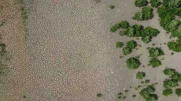 Aerial view look down dry land of sea shore video