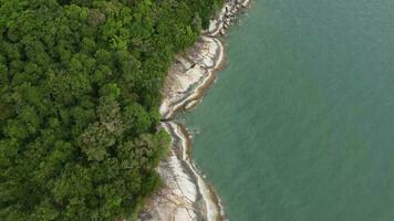 aereo mossa al di sopra di roccioso costale con verde foresta video