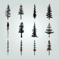 A collection of pine trees with different shapes and sizes. vector