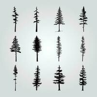 A collection of pine trees with different shapes and sizes. vector