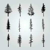 A collection of pine trees with different shapes and sizes. vector