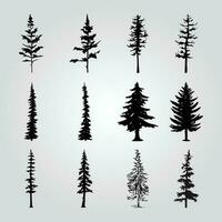 A collection of pine trees with different shapes and sizes. vector