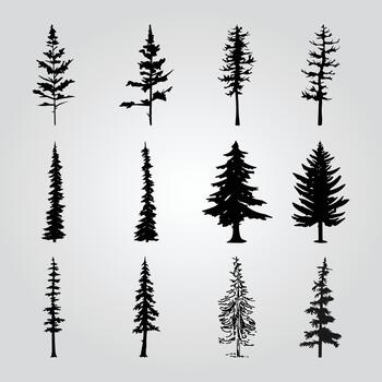 A collection of pine trees with different shapes and sizes. vector