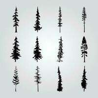 A collection of pine trees with different shapes and sizes. vector