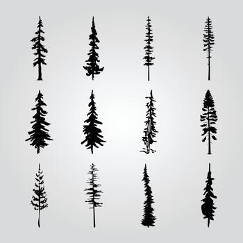 A collection of pine trees with different shapes and sizes. vector